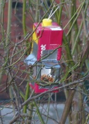 tetra pak birdfeeder