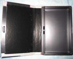 Video case