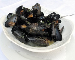 Mussels