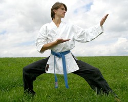 Karate belt