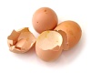 egg shells