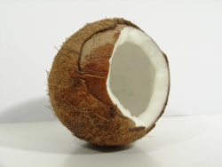 How can I reuse or recycle coconut shells?