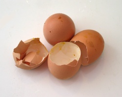 Some broken egg shells