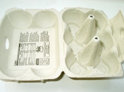 Egg box