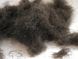How can I reuse or recycle … hair clippings?