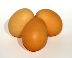 Eggs