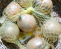 Onions in a net