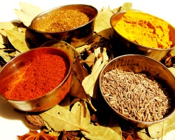 Spices for a curry, mmm, curry