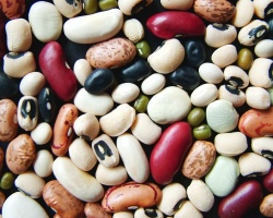 How can I reuse or recycle … old beans?