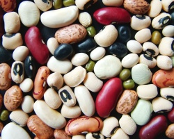 Dried Beans