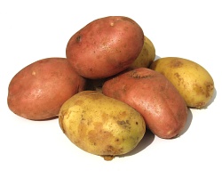 Potatoes