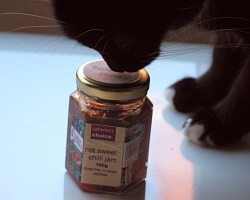 Silicon sniffing a jam jar