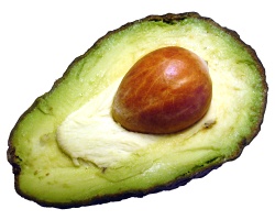 Avocado stone