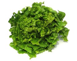 Lettuce