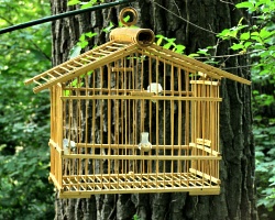 How can I reuse or recycle an old bird cage?