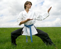 karate-belt1