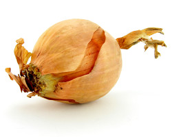 How can I reuse or recycle onion skins?