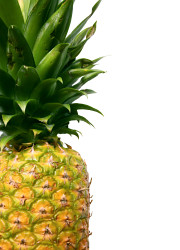 How can I reuse or recycle pineapple leaves and skin?