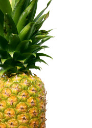 pineapple