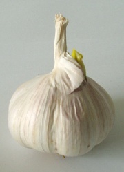 How can I reuse or recycle garlic?