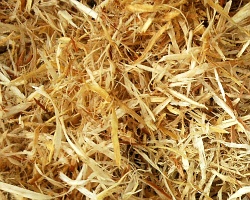 How can I reuse or recycle … lots of sawdust/wood shavings?