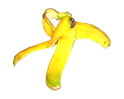 banana_peel