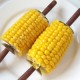 How can I reuse or recycle corn cobs?