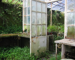 greenhouse