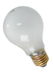 lightbulb