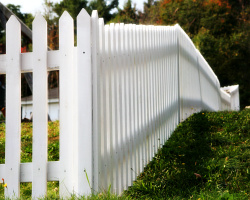 fence