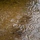 How can I reuse or recycle rainwater?
