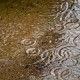 How can I reuse or recycle rainwater?