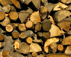 wood-pile