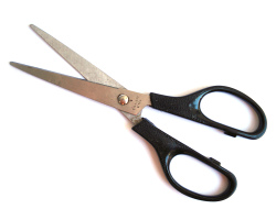 scissors