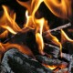 Perk up your garden with ash from Bonfire Night fires