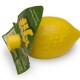 How can I reuse or recycle lemon juice (Jif) plastic lemons?
