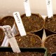 What can I reuse or recycle to make seedling/plant labels?