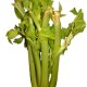 How can I reuse, recycle or use up floppy celery?