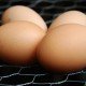 How can I “reuse” fresh eggs that we can’t eat?
